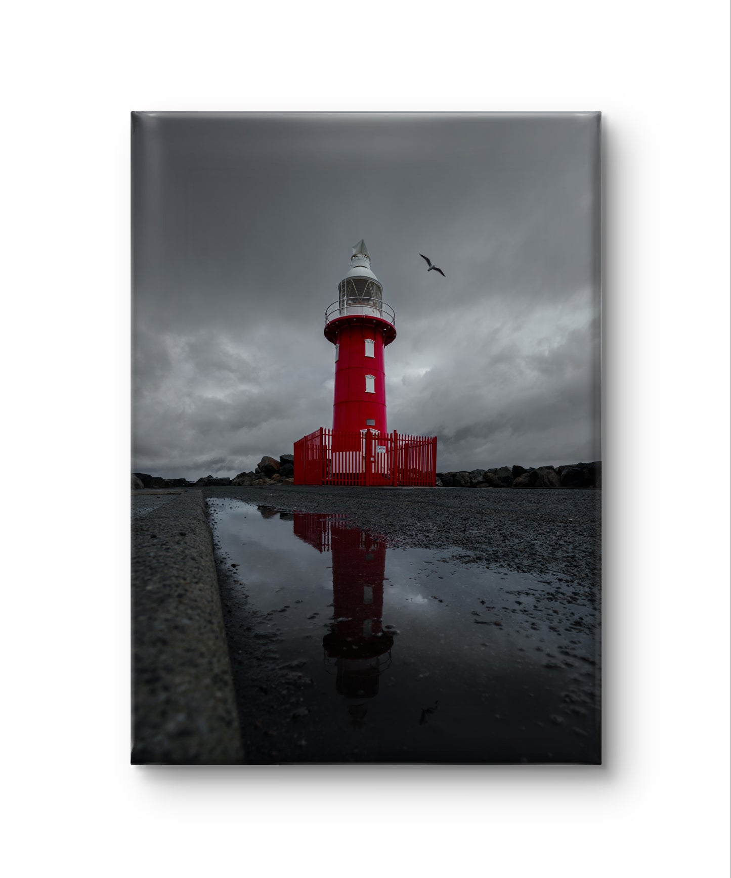 North Mole Lighthouse - Reflections and Flight