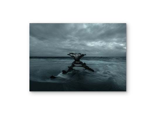 C.Y. O’Connor Wreck – Solitude