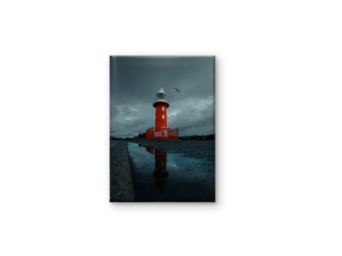 North Mole Lighthouse - Reflections and Flight