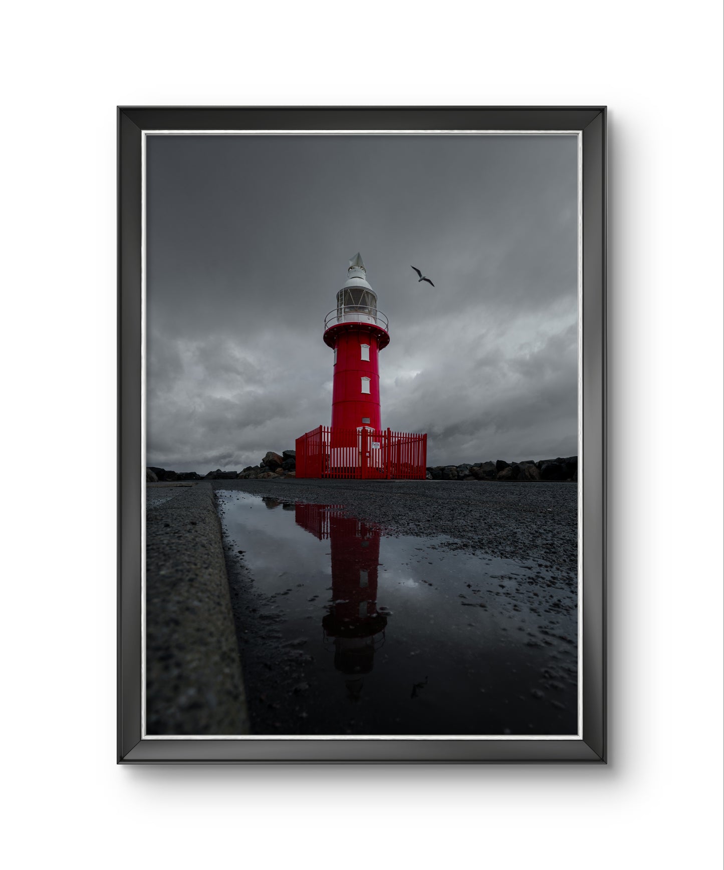 North Mole Lighthouse - Reflections and Flight