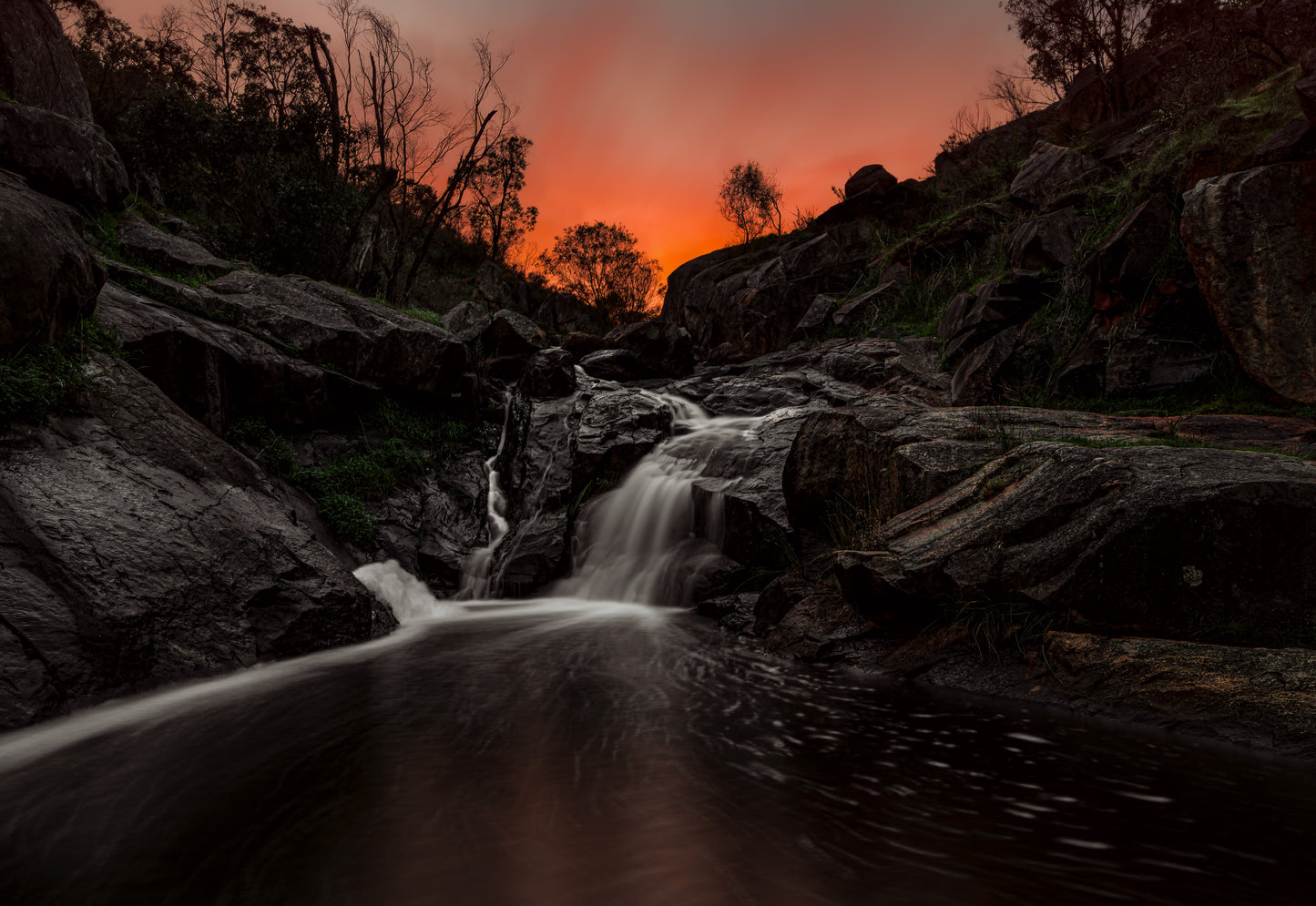 Sunrise at Nyaania Creek